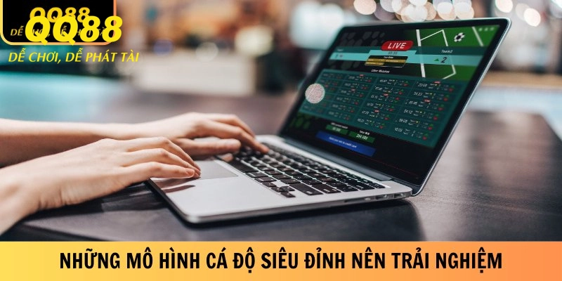 Những mô hình cá độ siêu đỉnh nên trải nghiệm